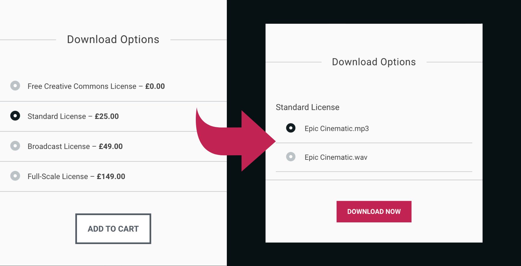 all access pass download options